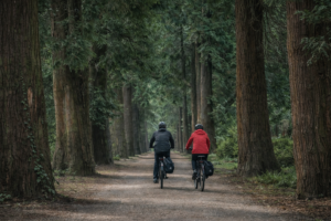 restaurants in roden drenthe