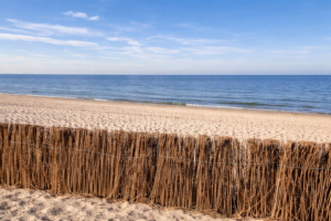 restaurants in delfzijl